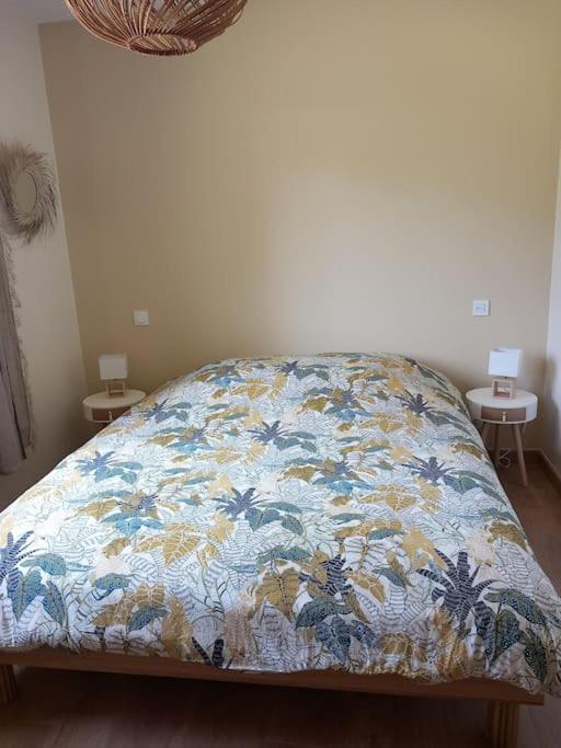 Maison Neuve Avec Piscine Chauffee, 4 Kms De Contis Plage Сен-Жульєн-ан-Борн Екстер'єр фото