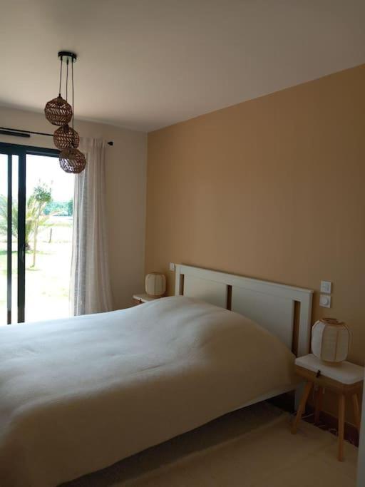 Maison Neuve Avec Piscine Chauffee, 4 Kms De Contis Plage Сен-Жульєн-ан-Борн Екстер'єр фото