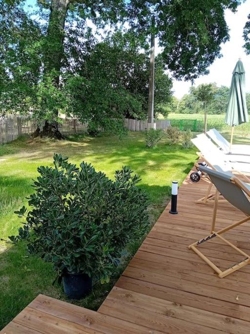 Maison Neuve Avec Piscine Chauffee, 4 Kms De Contis Plage Сен-Жульєн-ан-Борн Екстер'єр фото